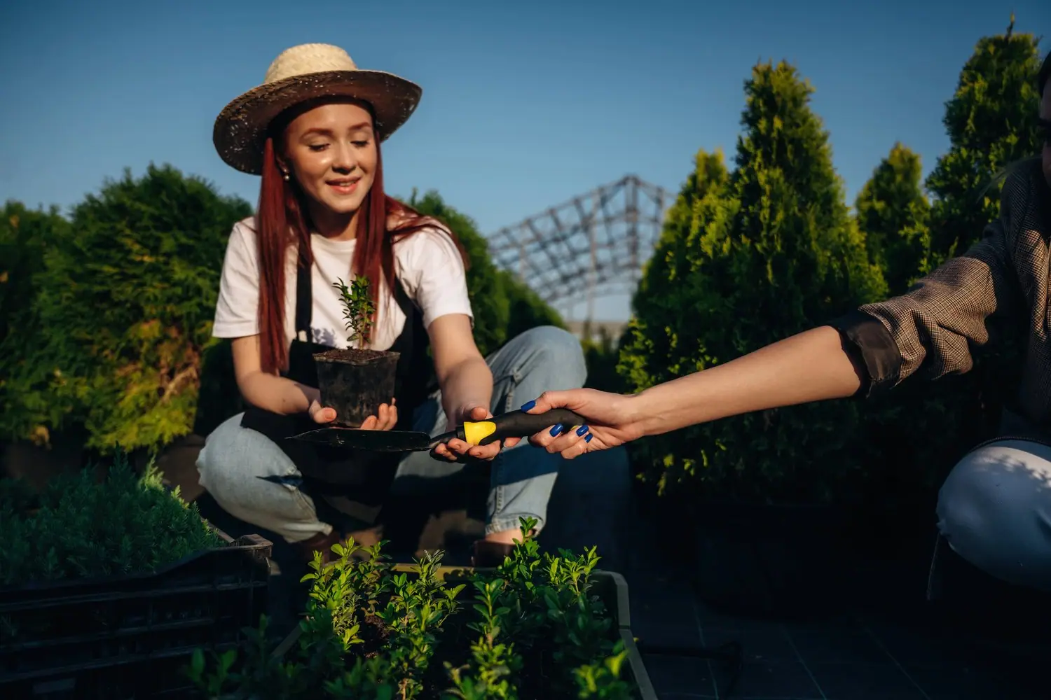 Guerilla gardening: Miejskie ogrodnictwo partyzanckie
